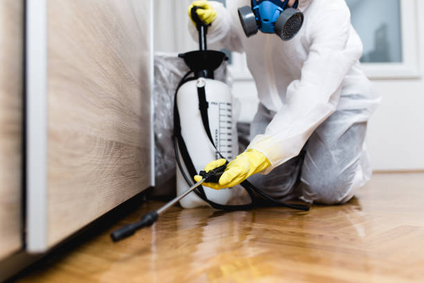 Best Exterminator Services  in Lincoln, CA