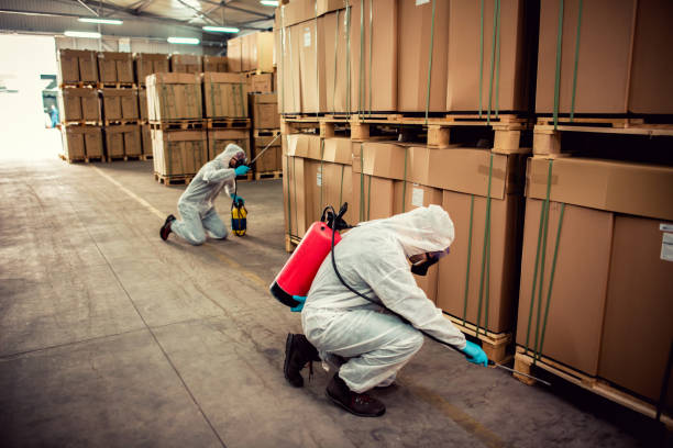 Best Local Pest Control Services  in Lincoln, CA