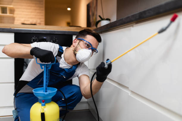 Best Pest Prevention Services  in Lincoln, CA