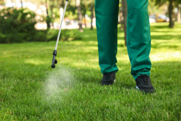 Best Ant Control Services  in Lincoln, CA