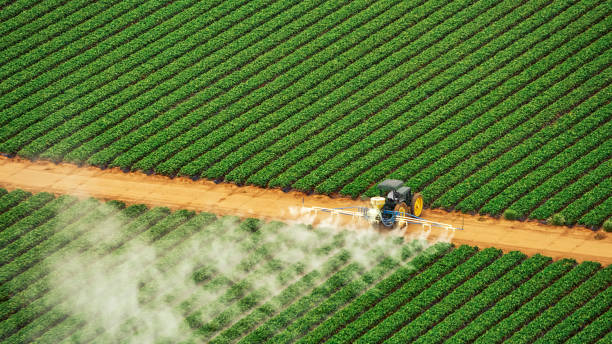 Best Affordable Exterminators  in Lincoln, CA