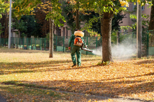 Best Flea Control Services  in Lincoln, CA