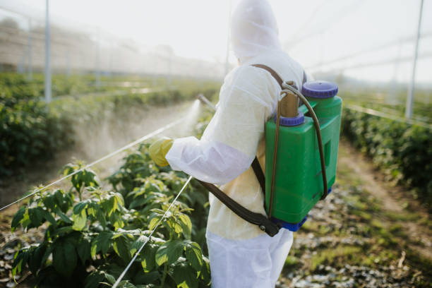 Best Cockroach Control Services  in Lincoln, CA